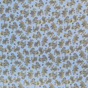 6500.jpg