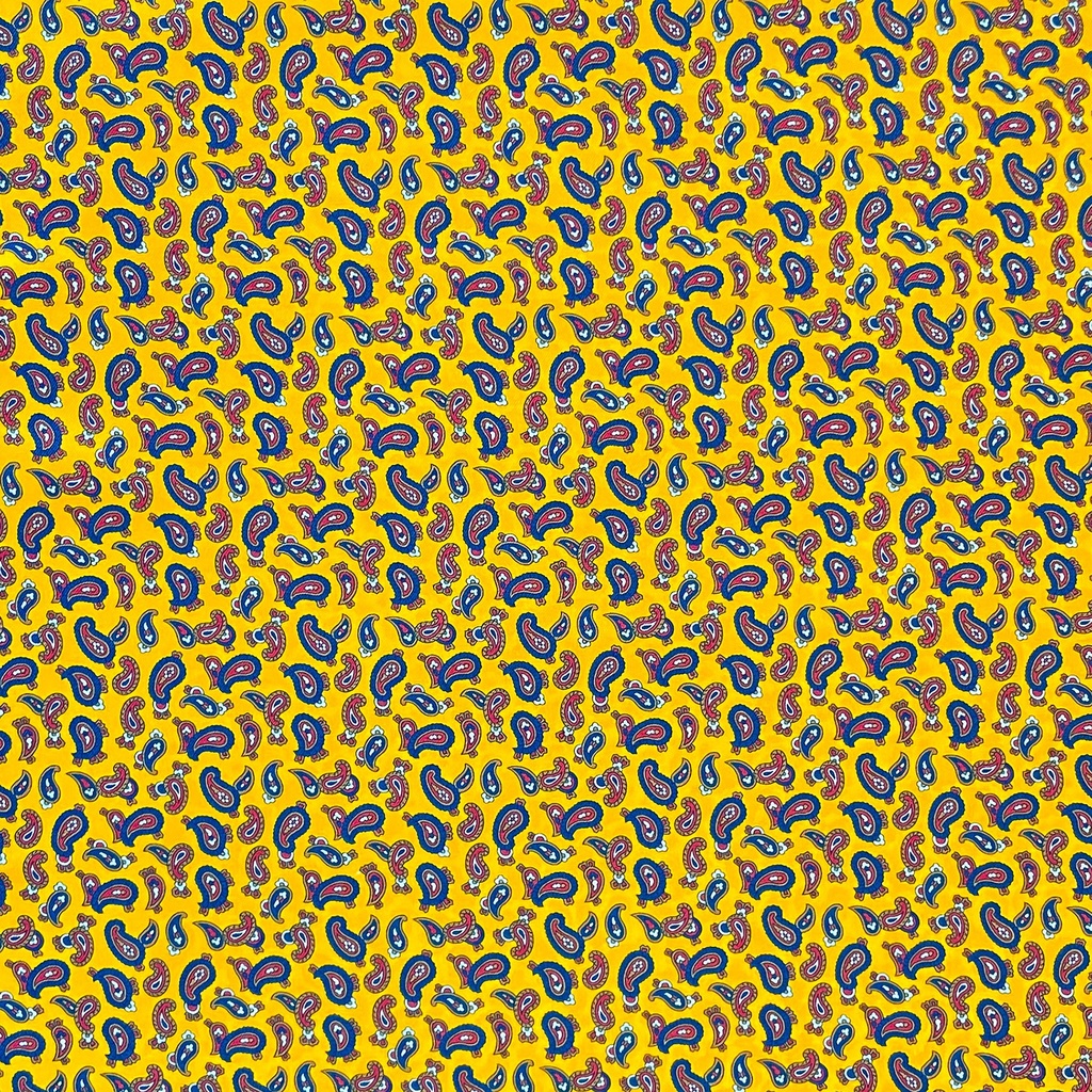 6482.jpg