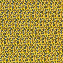 6482.jpg