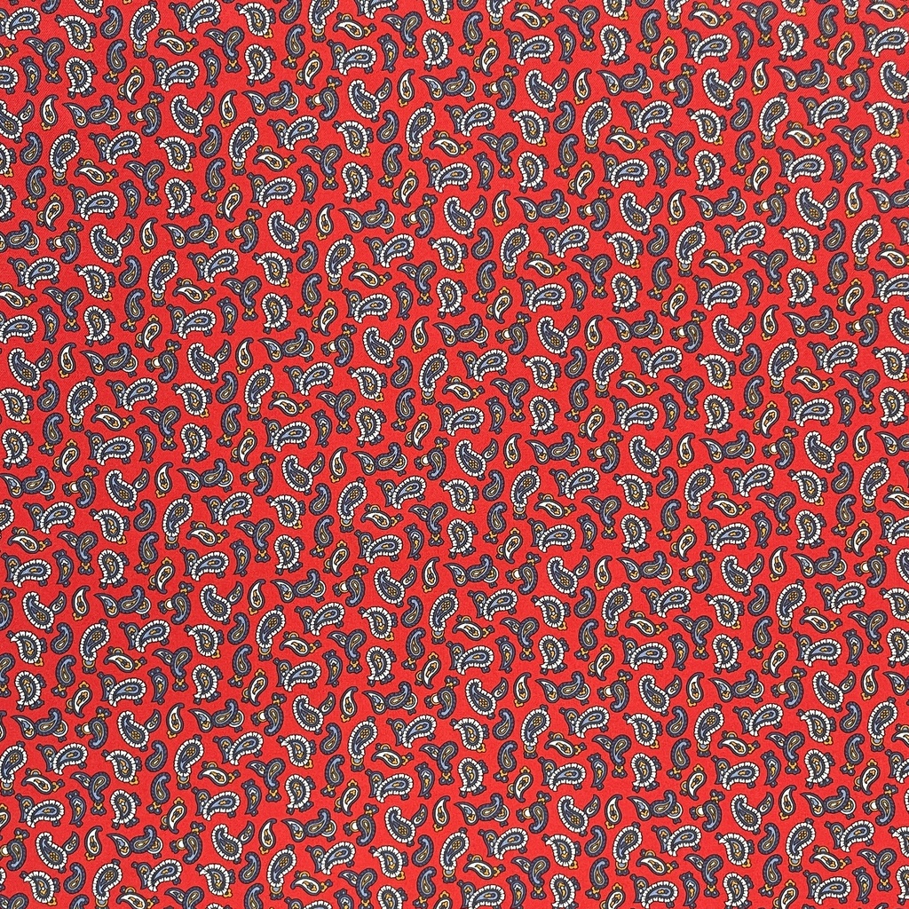 6483.jpg