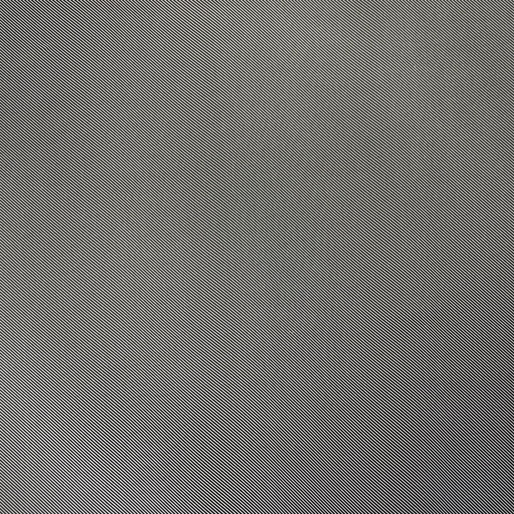 0959.jpg