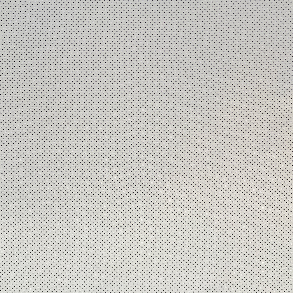 7931.jpg