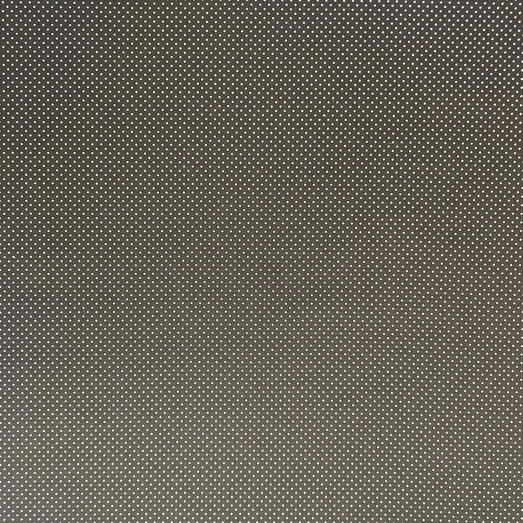 7933.jpg