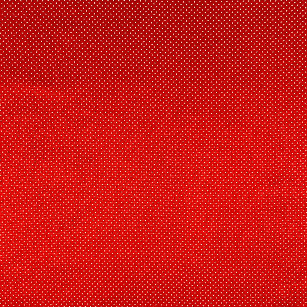 7936.jpg